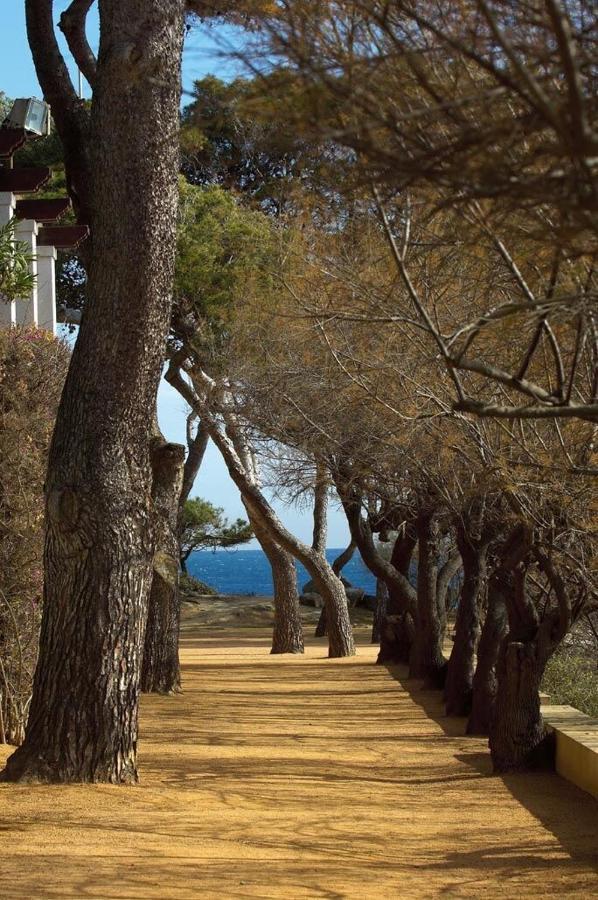 Platja D'Aro Center Apartments Dış mekan fotoğraf